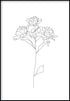 Poster artistico linea rose